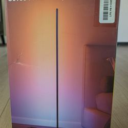 Govee Floor Lamp