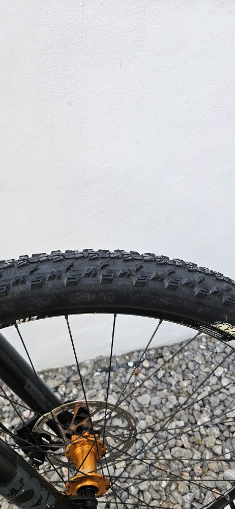 2015 Salsa Horsethief size 20