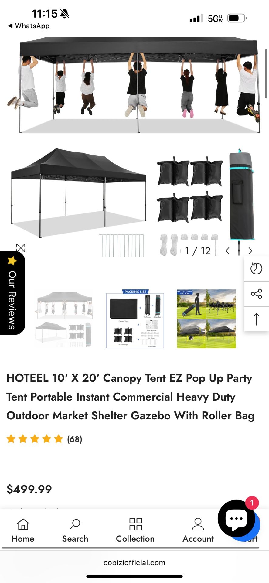 Pop Up Canopy