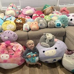 Squishmallow Collection