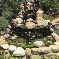 PONDS🏝 , FOUNTAINS ⛲️ , WATER FALLS , NATURAL POOLS 🏝