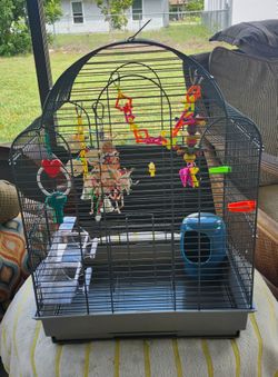 Parakeet Cage
