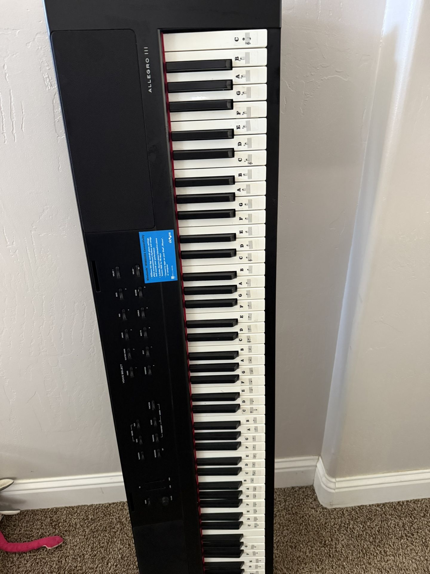 Williams ALLEGRO 111 Piano Plus!