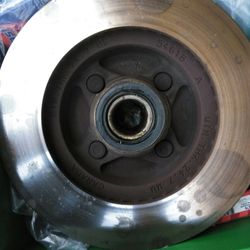 Rotors Mustard Gt