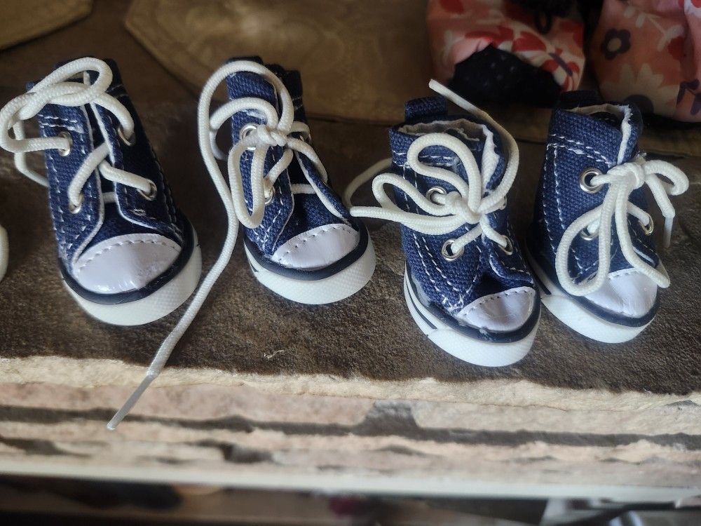 Pet Socks And Shoes