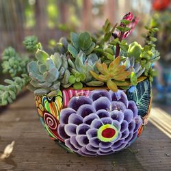 Colorful Hand-Painted Succulent Arrangement – Statement Piece 🌺🌿
