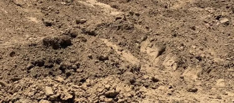 Free Clean dirt Available to Drop Off 