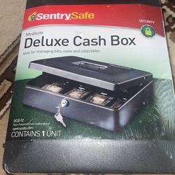 Deluxe Cashbox Security (Medium)