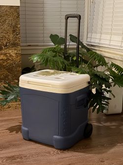 Igloo 60 Qt Cooler