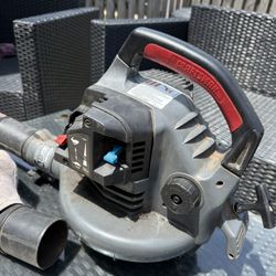 Leaf Blower/vacuum