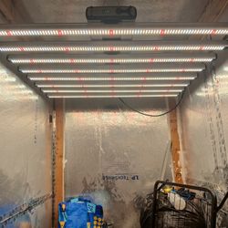 Grow Lights