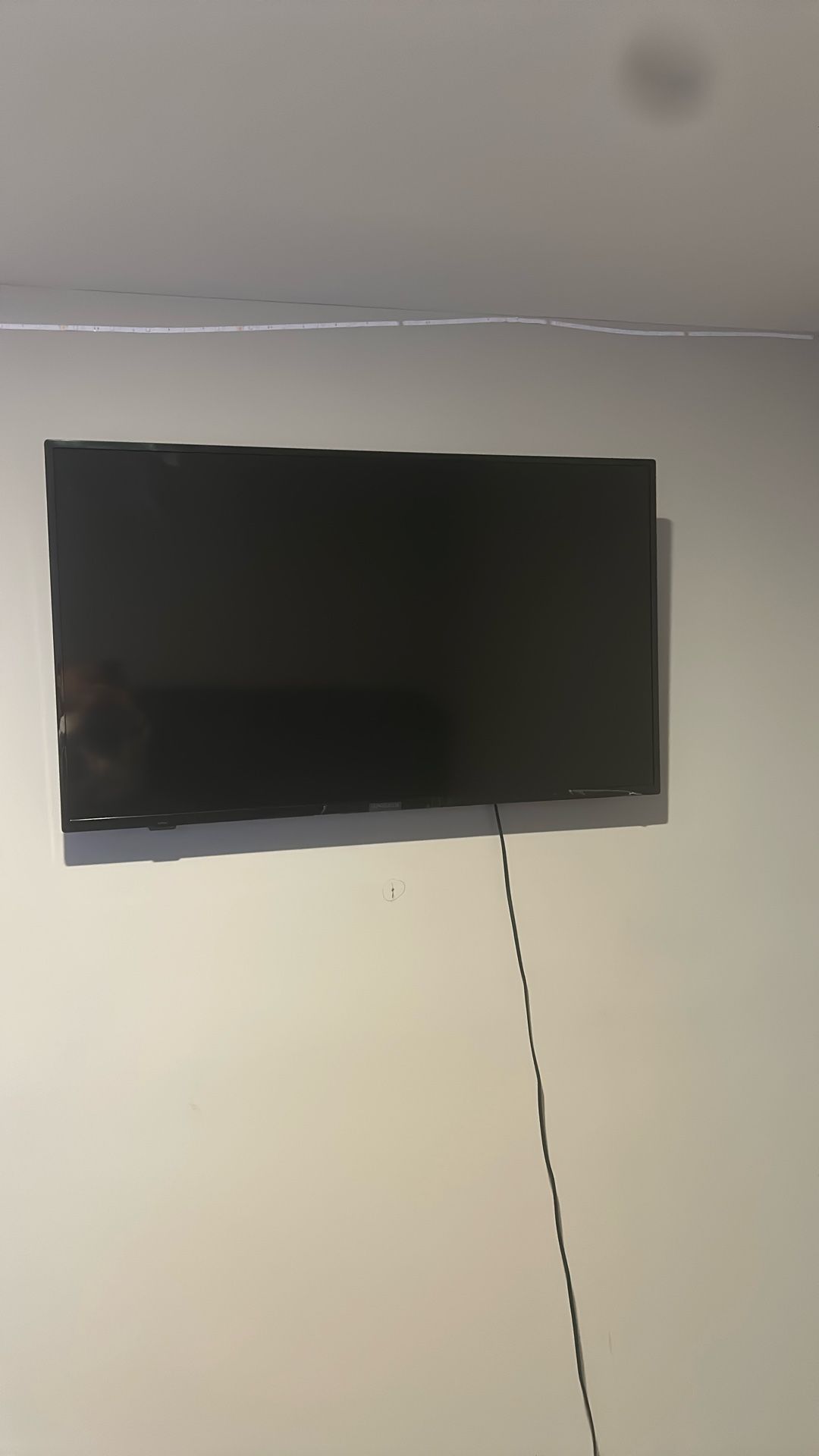 Insignia 50 Inch Tv