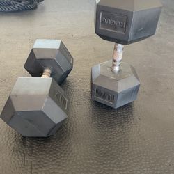 Rogue 70lb Rubber Hex Dumbbells