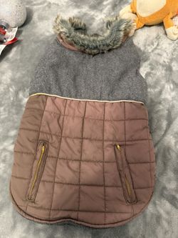 Dog Clothes 