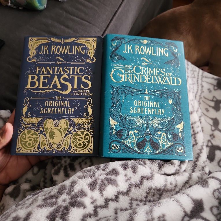 Fantastic Beasts Book Set for Sale in Grandville, MI - OfferUp