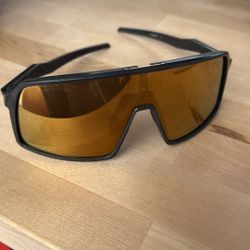 Coyote Sutro Baseball Sunglasses