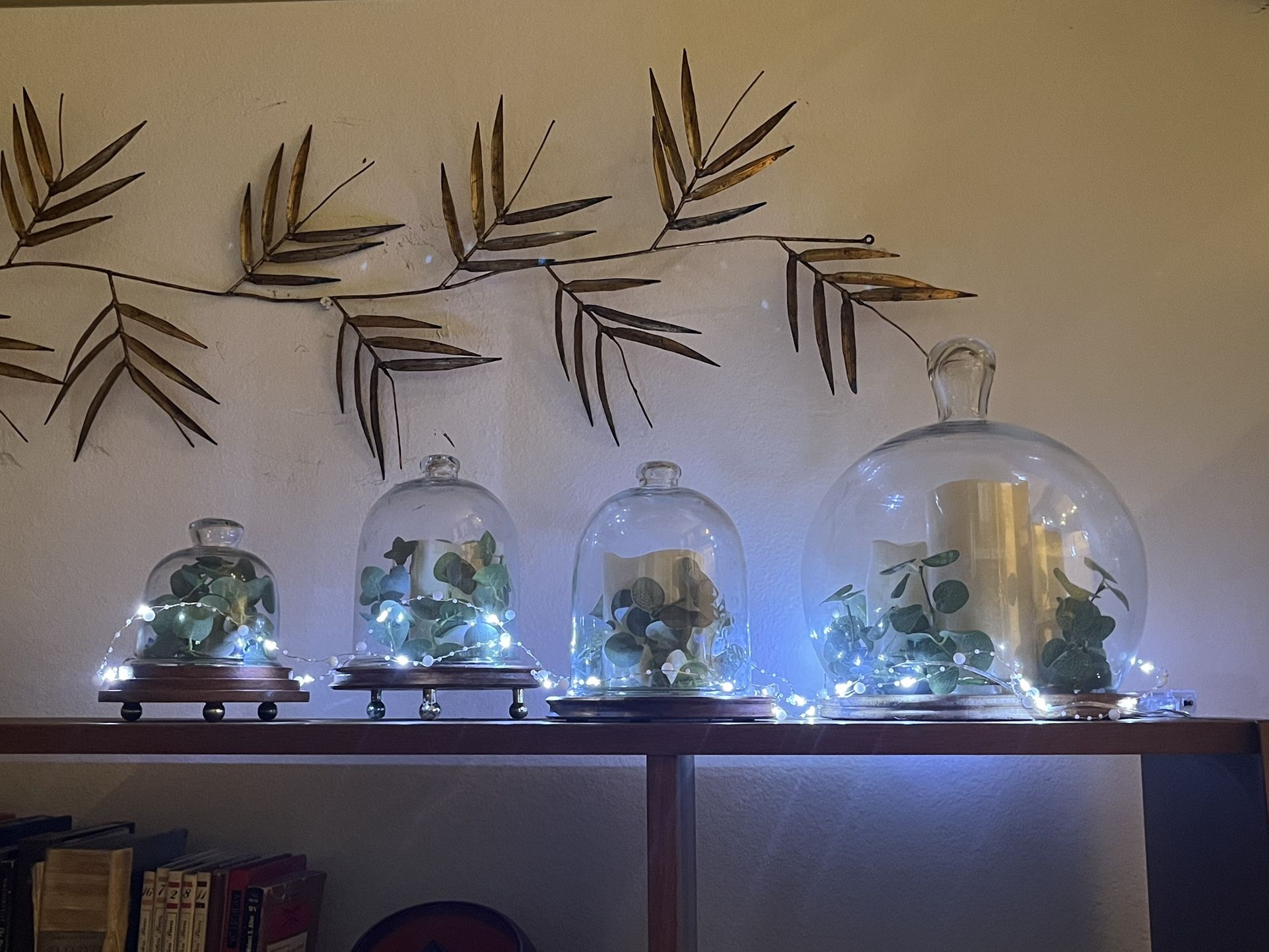 Glass & Wood Cloche’s Home Decor, Christmas, Holiday, Party, Plants, Desserts 