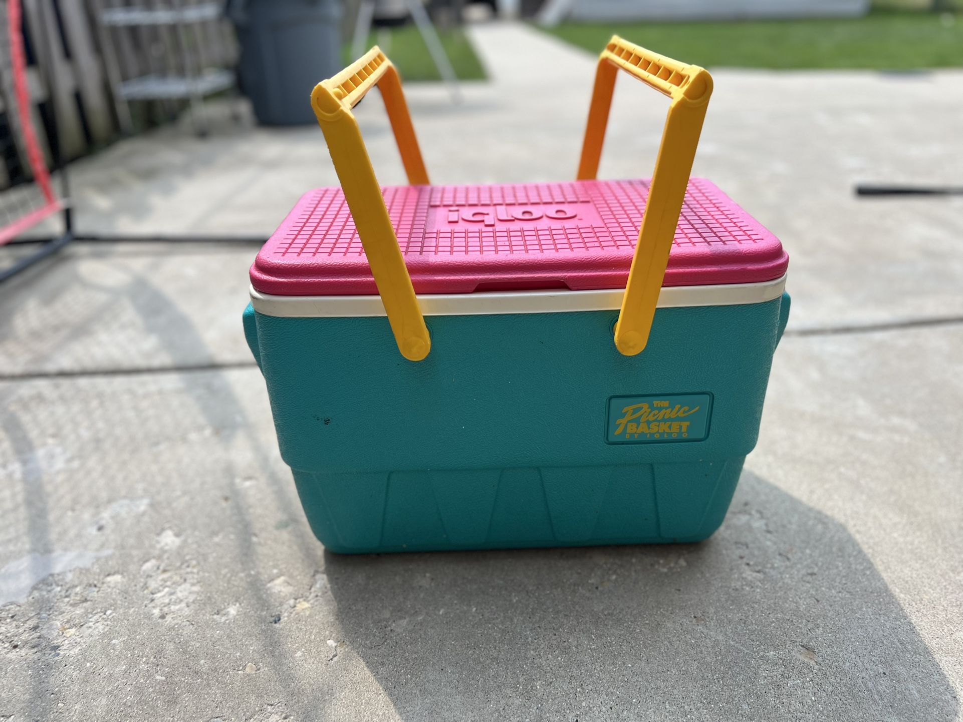 The Picnic Basket By Igloo