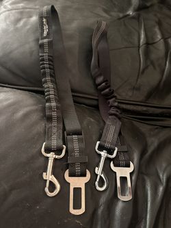 2 Dog Car Seat Belts