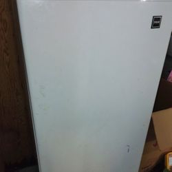 Stand Up Freezer 