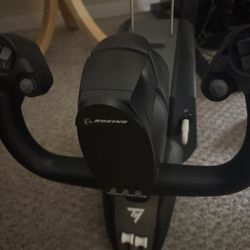 Thrustmaster Flight Sim + Rudder