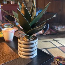 14”x5” Artificial Plant. Looks Very Real. 