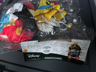Pinocchio costume for dog