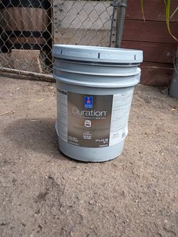Bamboo Shoot ( Sherwin Williams Paint )