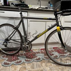 Litespeed Tachyon titanium triathlon / time trial 55cm bicycle