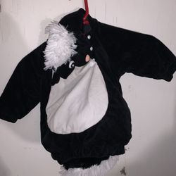 Halloween Costume: Skunk Costume For Toddlers In Good Condition 