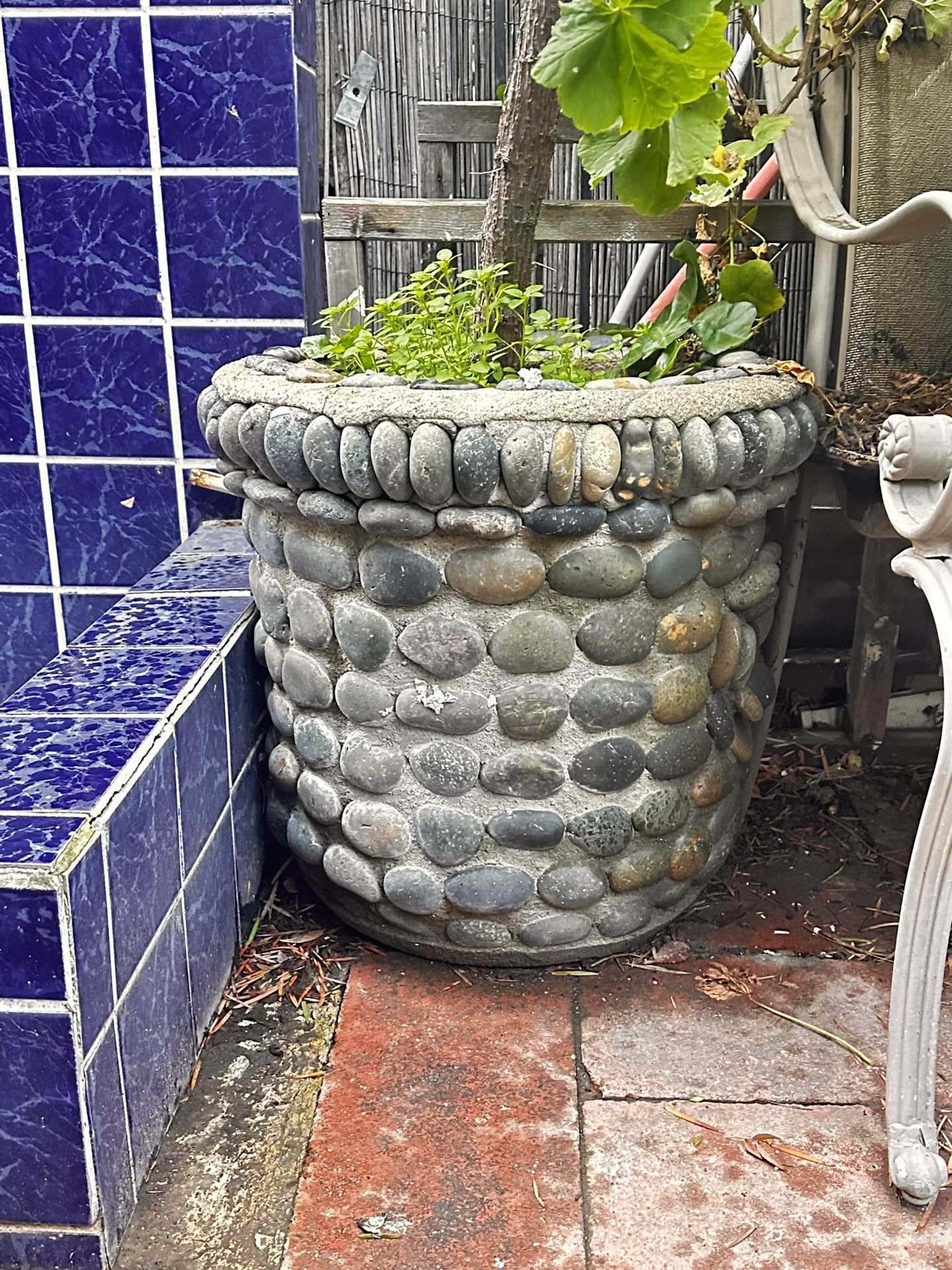 Cement Outdoor Planter