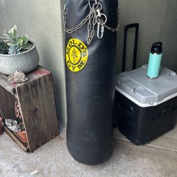 Golds Gym Punching Bag