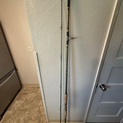 Surf Spinning rod