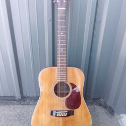 12 string Vintage guitar