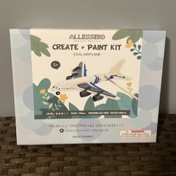 Allessimo 3D Create & Paint DiY Civil Airplane Brand New