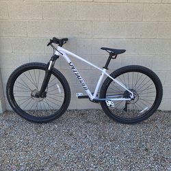 SPECIALIZED ROCKHOPPER COMP 29 ER 1 X 9 SPEED ( CHECK MY OTHER BIKES)