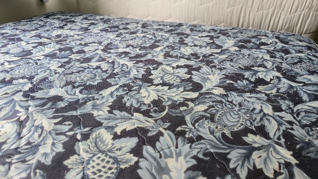 Queen Mattress and Box Spring. FREE