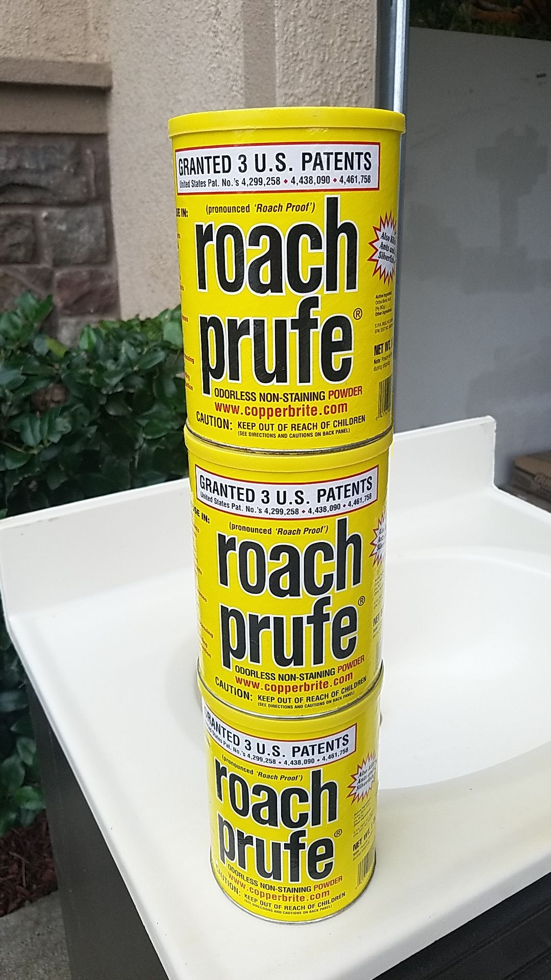 Roach prufe