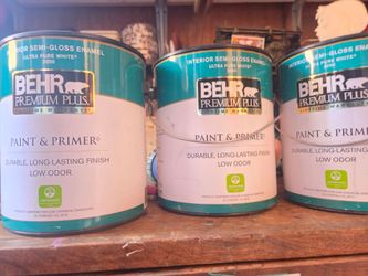 Paint
