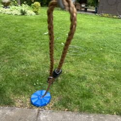 Outdoor disc swing