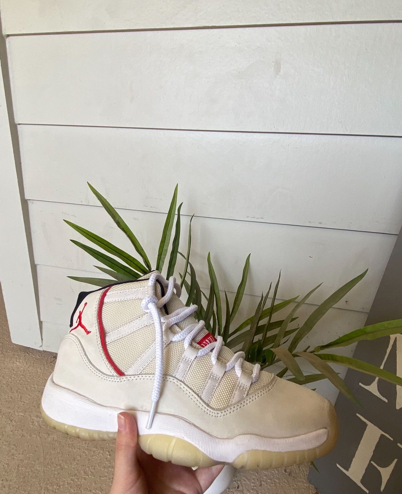 Platinum Tint Jordan 11