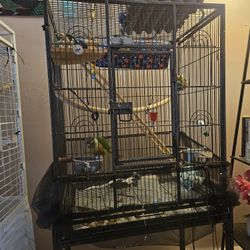 Looking To Trade For A Bigger Cage 