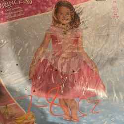 Princess Costume