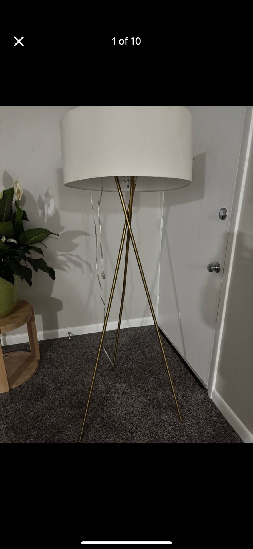 Elegant Floor Lamp