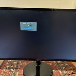 Samsung 24 Inch Monitor