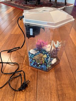 Fish tank + filters + aquarium salt