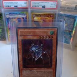Ultimate Insect Lv5 1st Edition