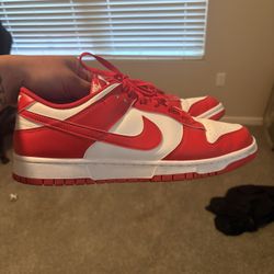 Nike dunks size 13
