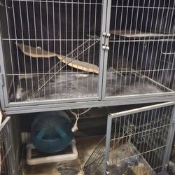 Ferret Nation Cage