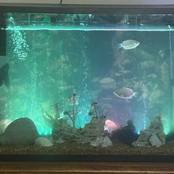Fish Tank With Accessories 